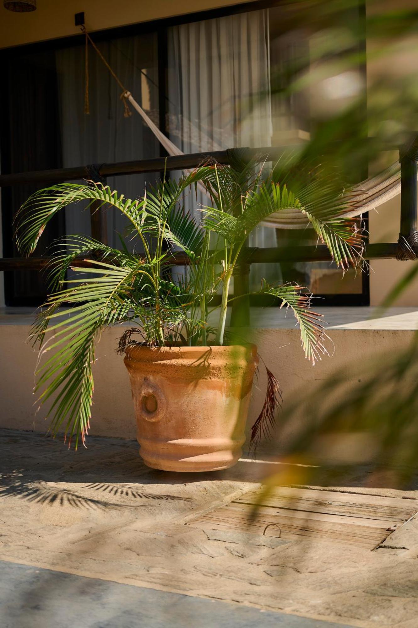 Lya Beach House Santa María Colotepec Exterior photo